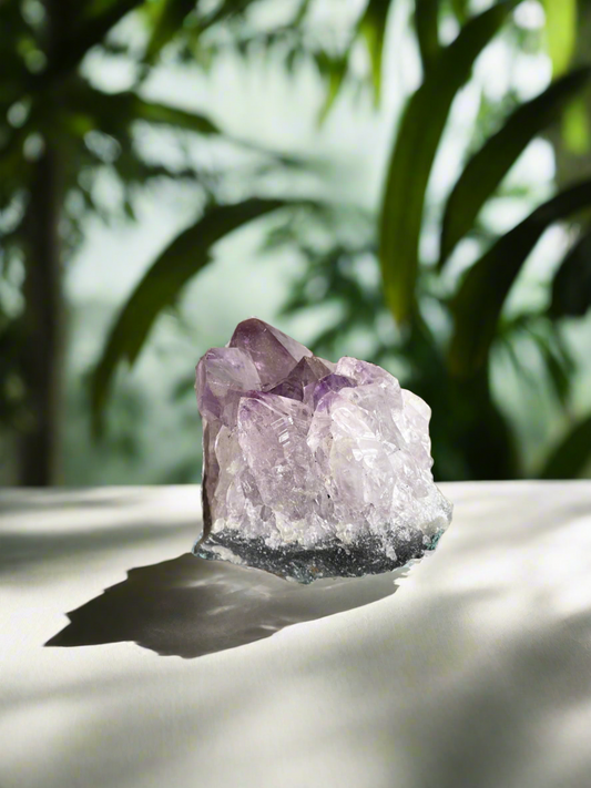 Amethyst Cluster