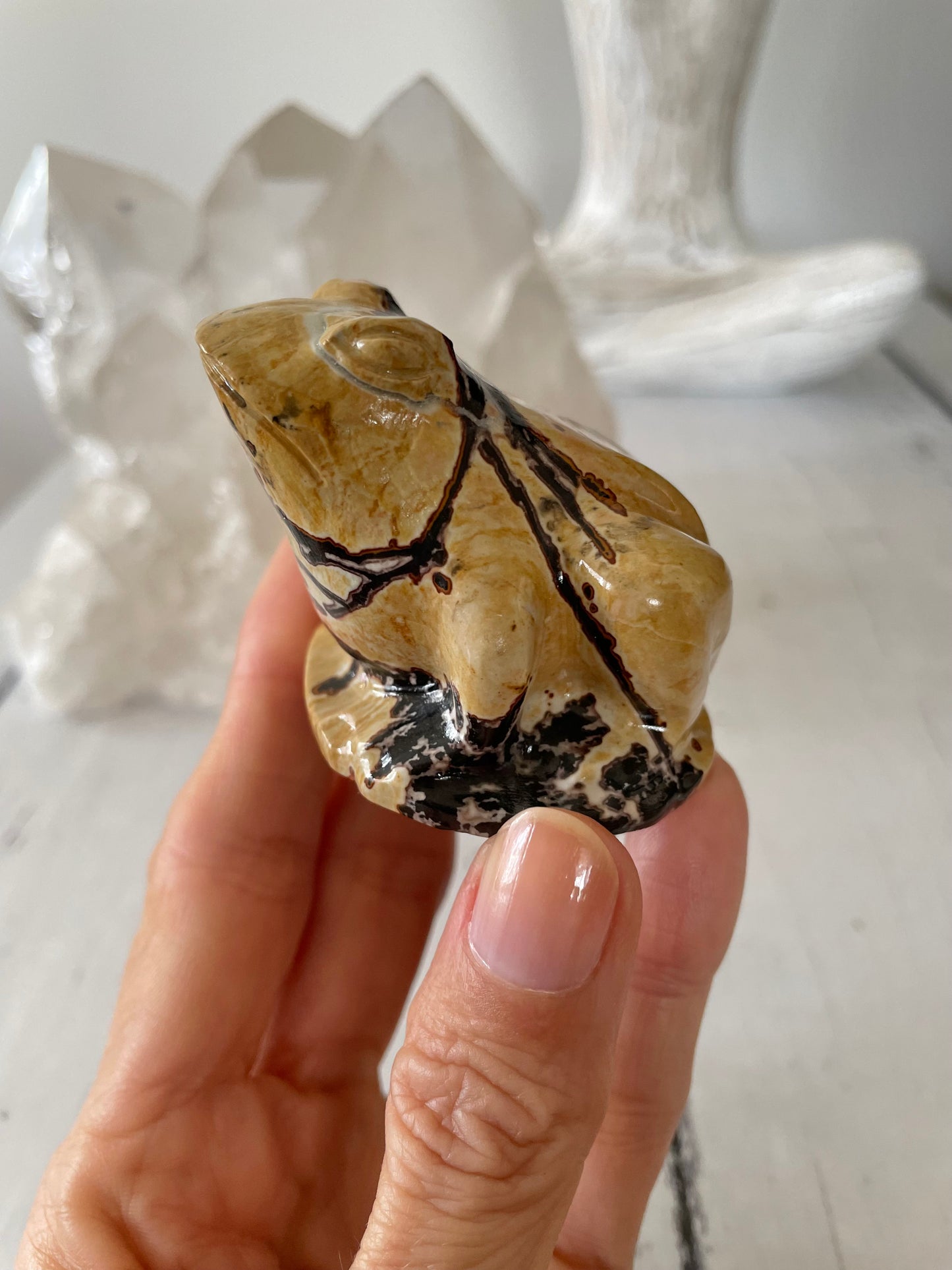 Picture Jasper Frog