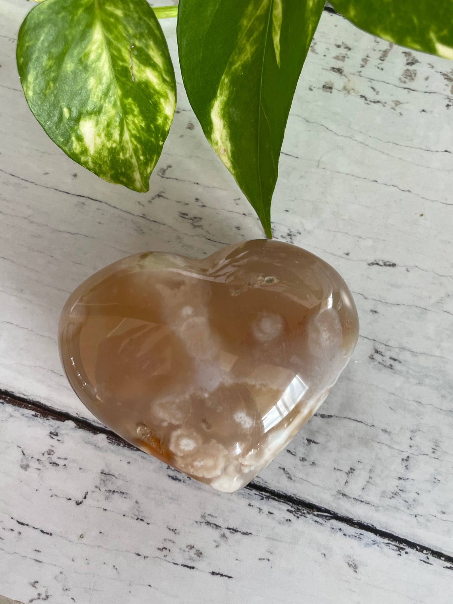 Flower Agate Heart