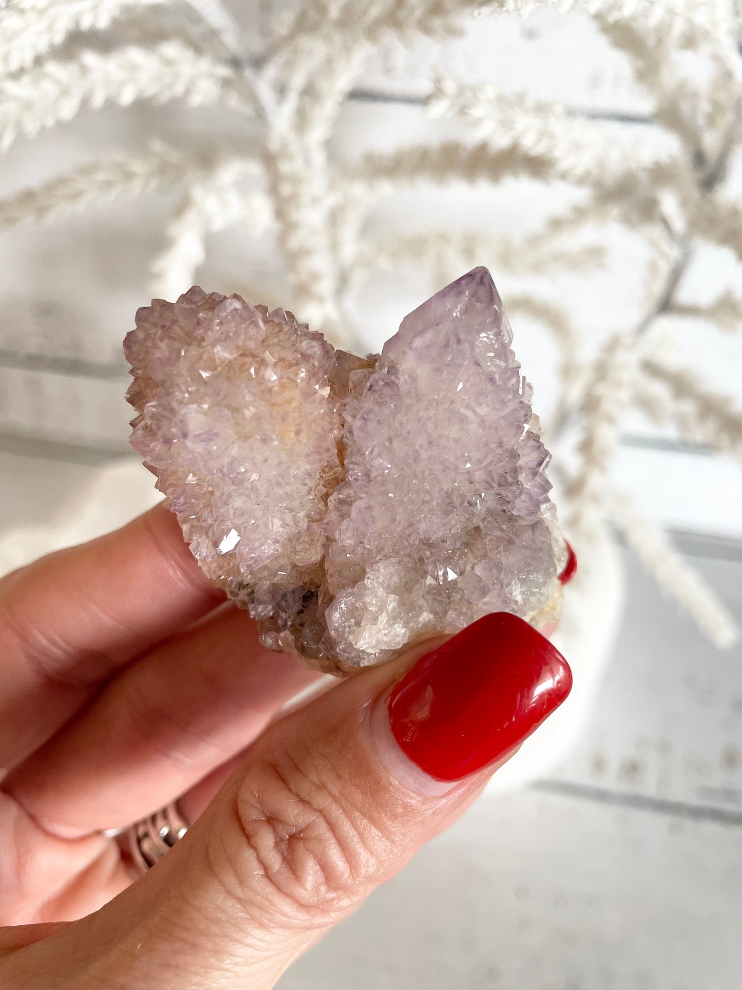 Spirit / Cactus Quartz Cluster