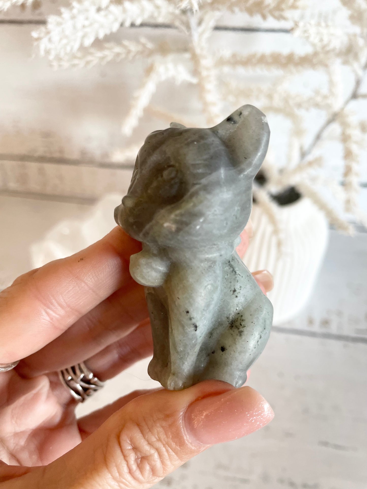 Luna Cat - Labradorite