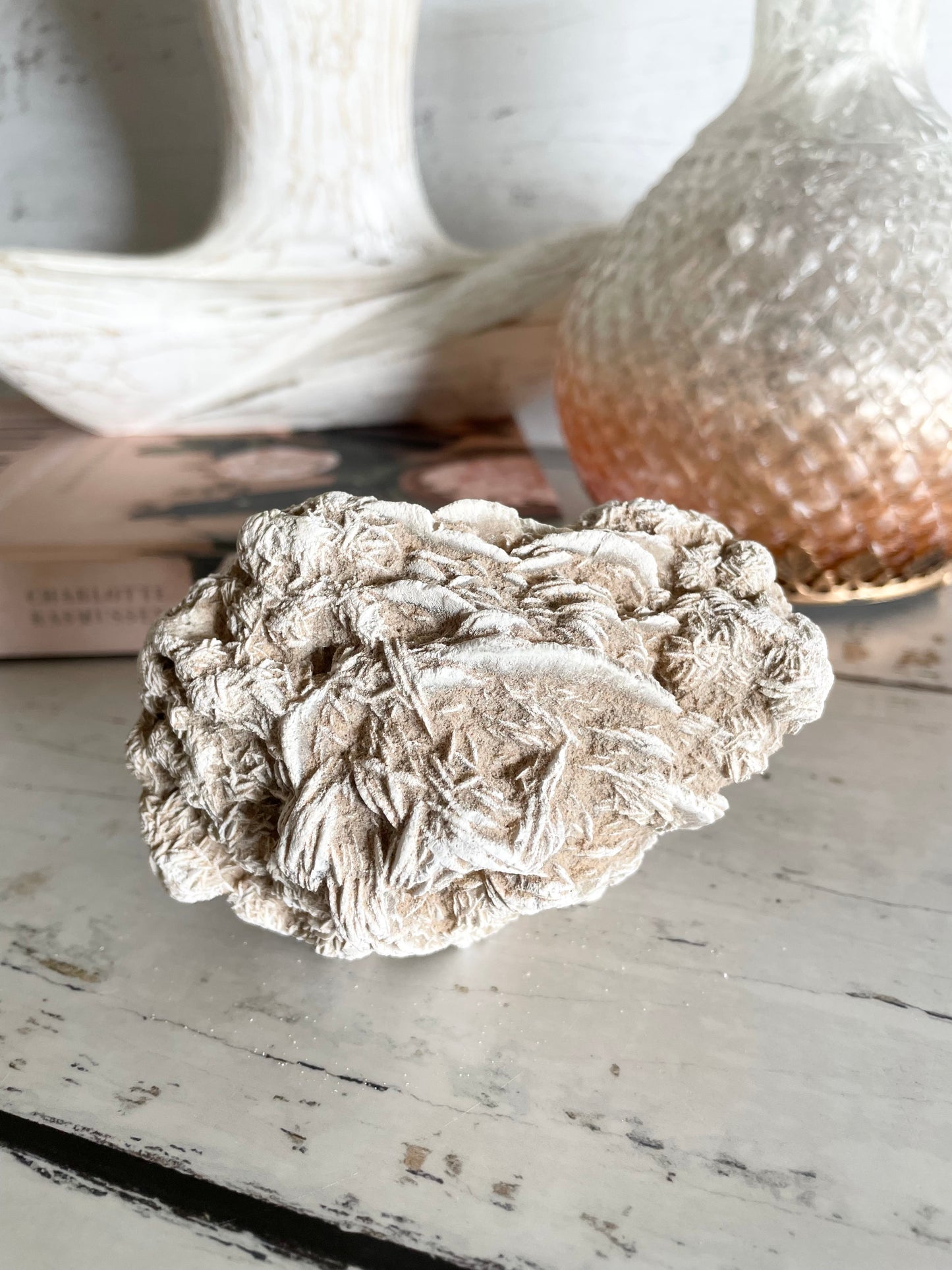 Desert Rose