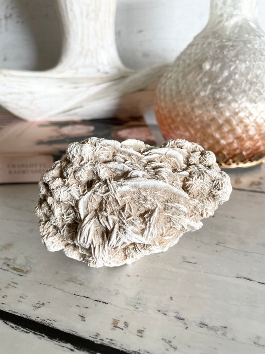 Desert Rose