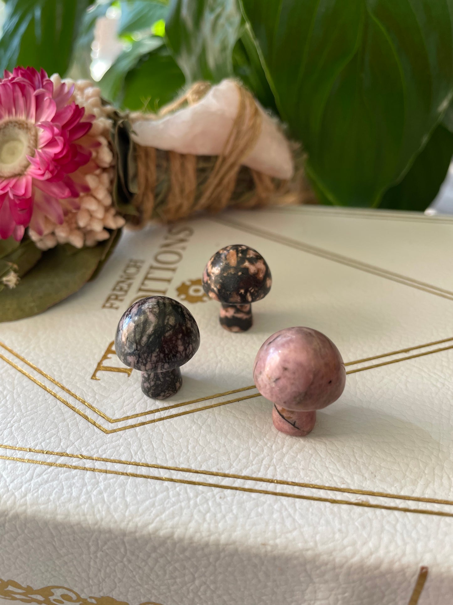 Intuitively chosen ~ Rhodonite Mushroom