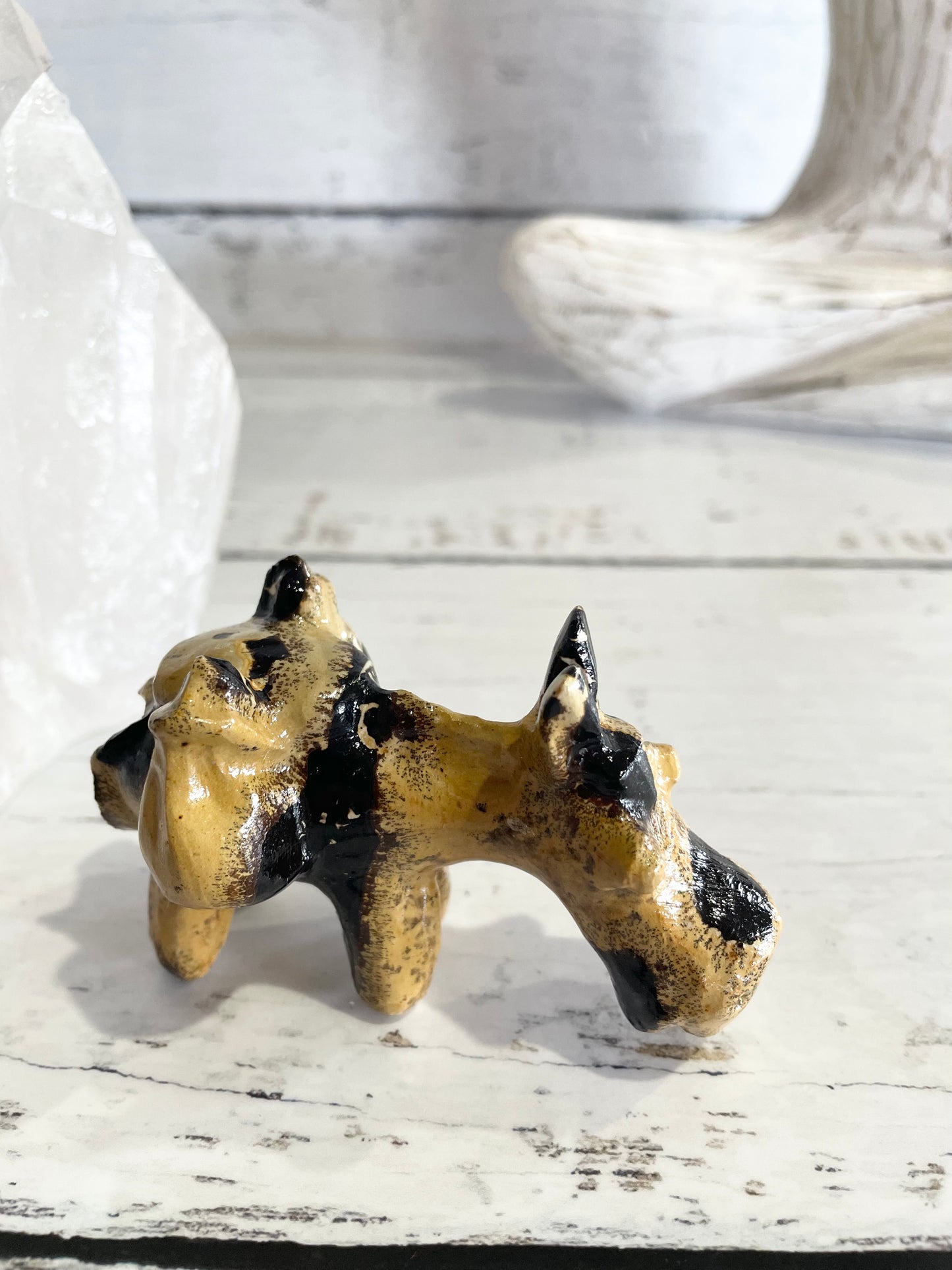 Picture Jasper Donkey ~ 13
