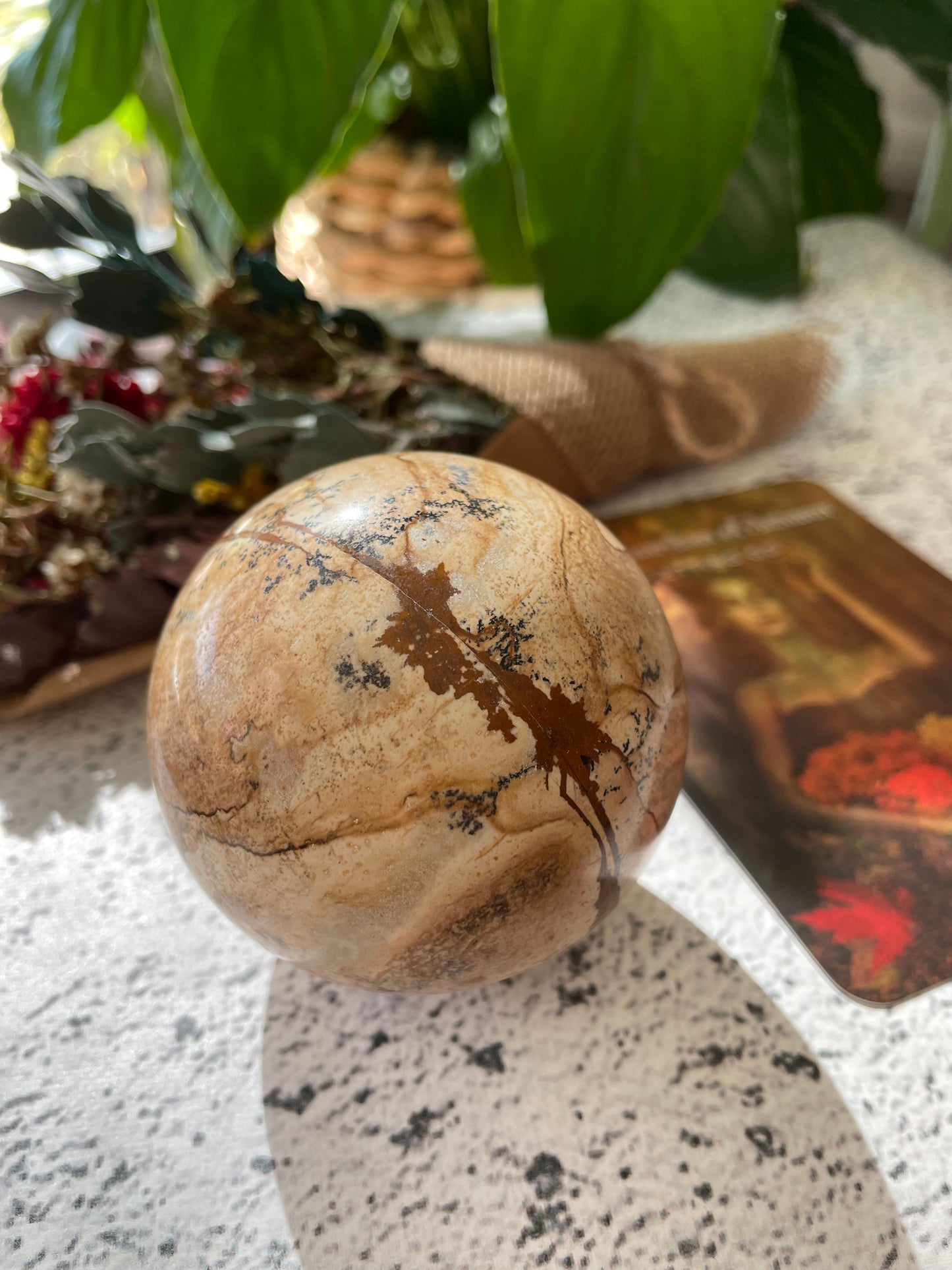 Picture Jasper Sphere Includes Wooden Holder