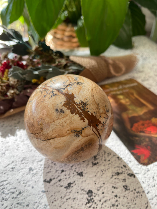 Picture Jasper Sphere Includes Wooden Holder