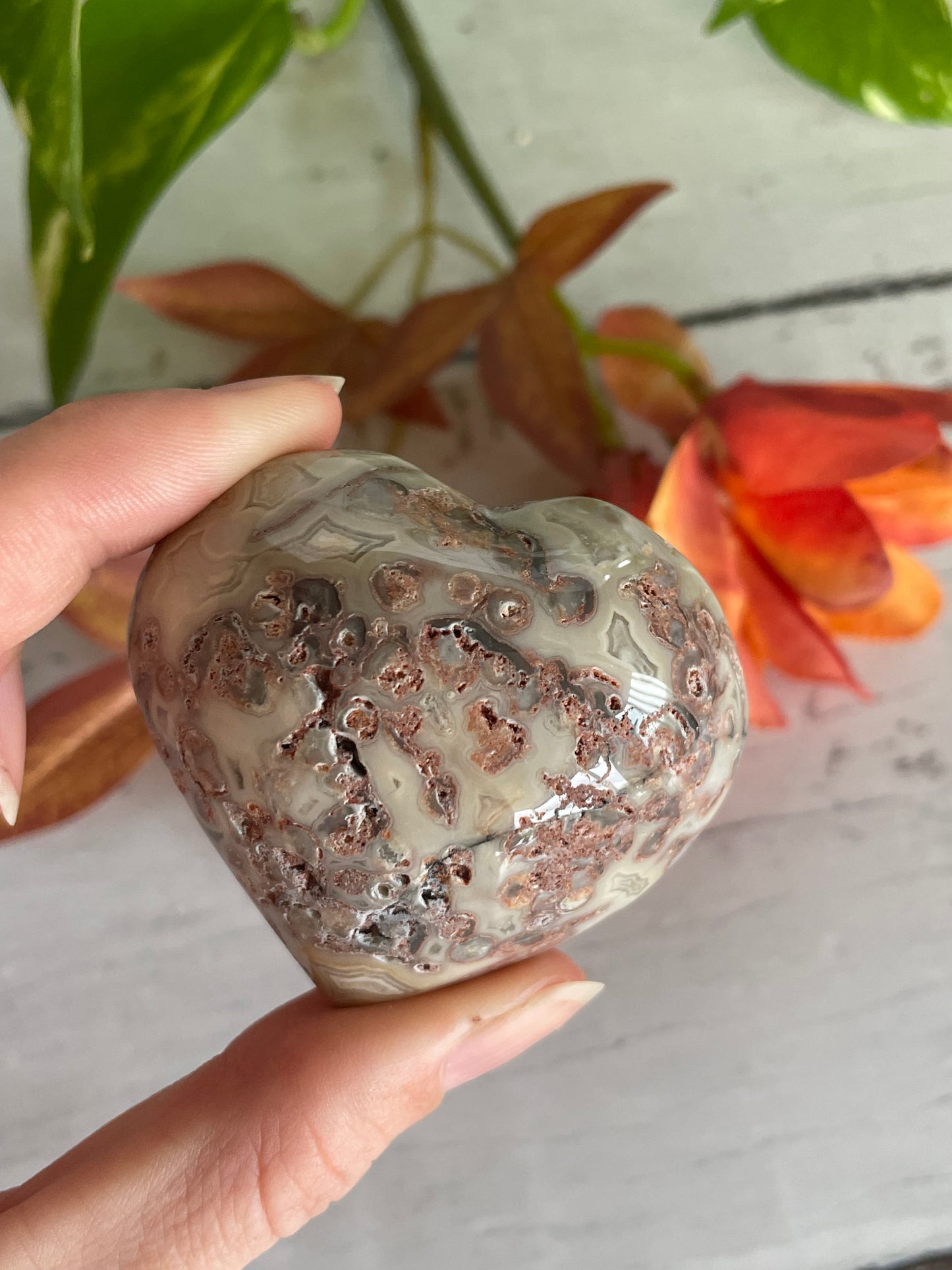 Crazy Lace Agate Heart