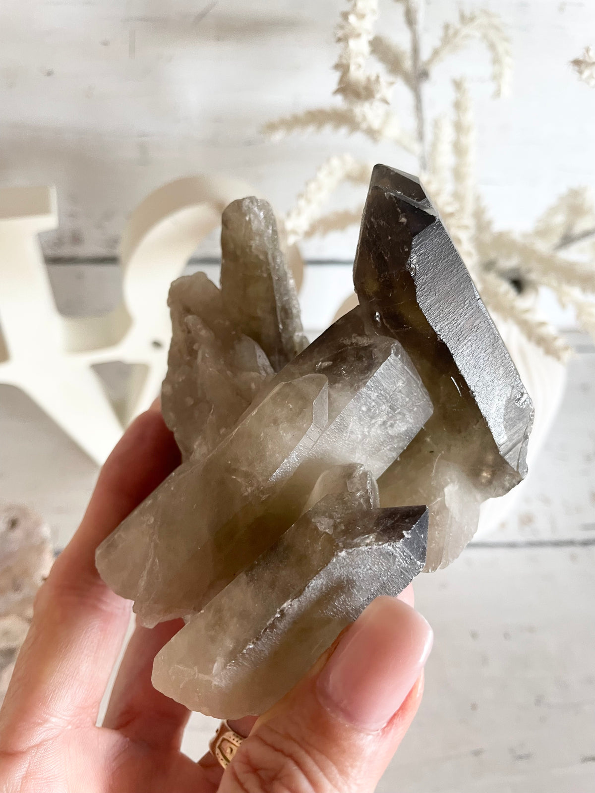 Smoky Quartz Cluster