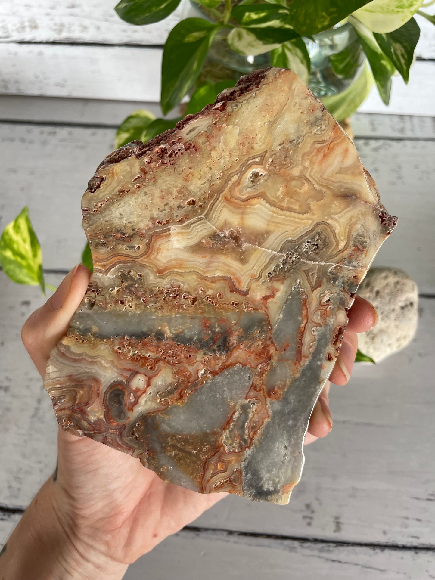 Crazy Lace Agate Polished Slab