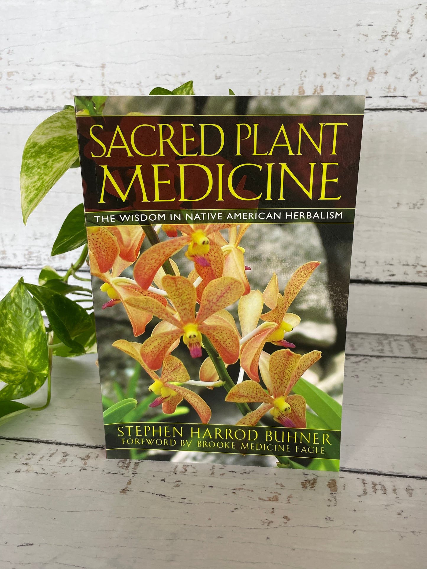 Sacred Plant Medicine