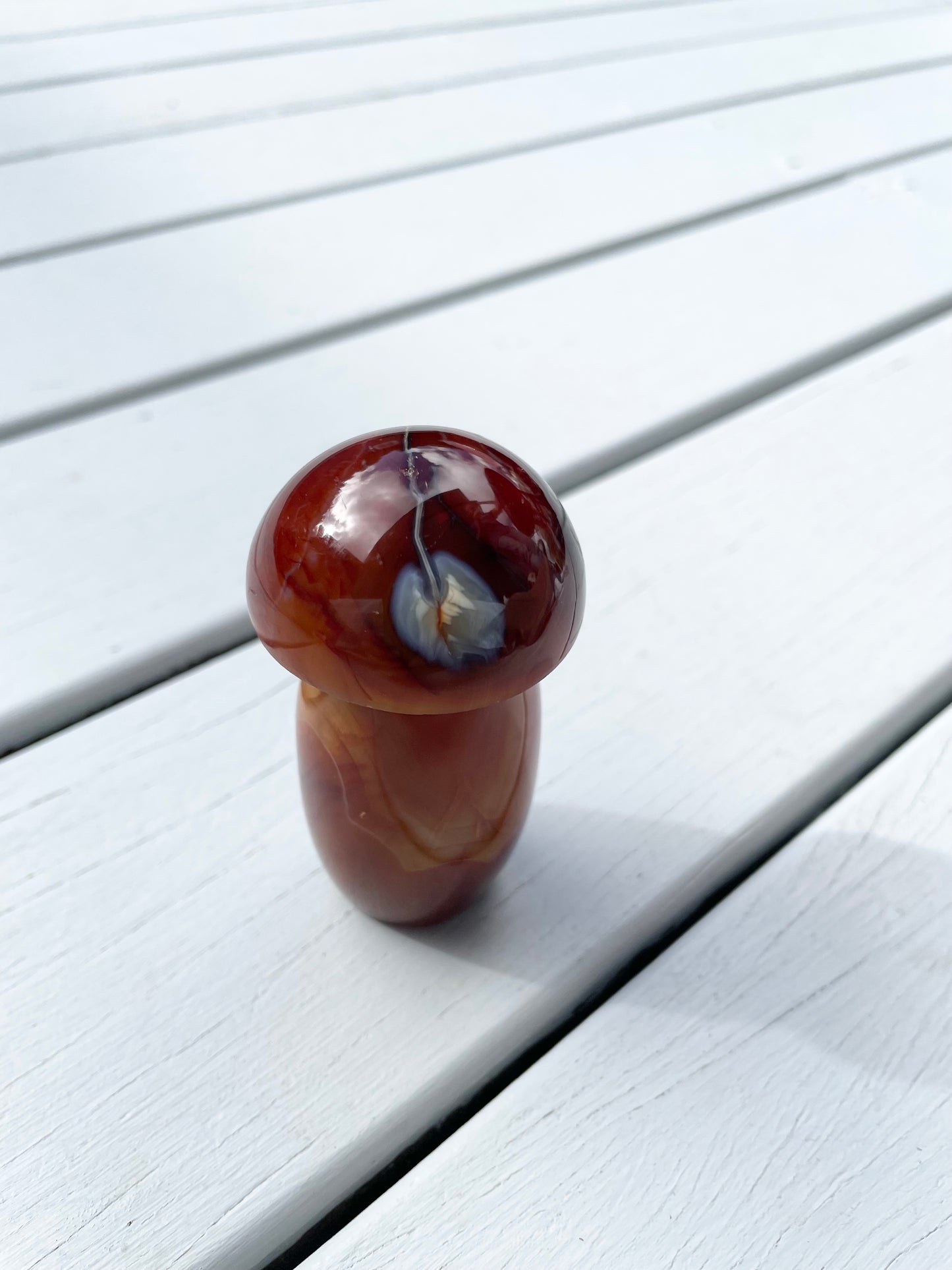 Carnelian Mushroom