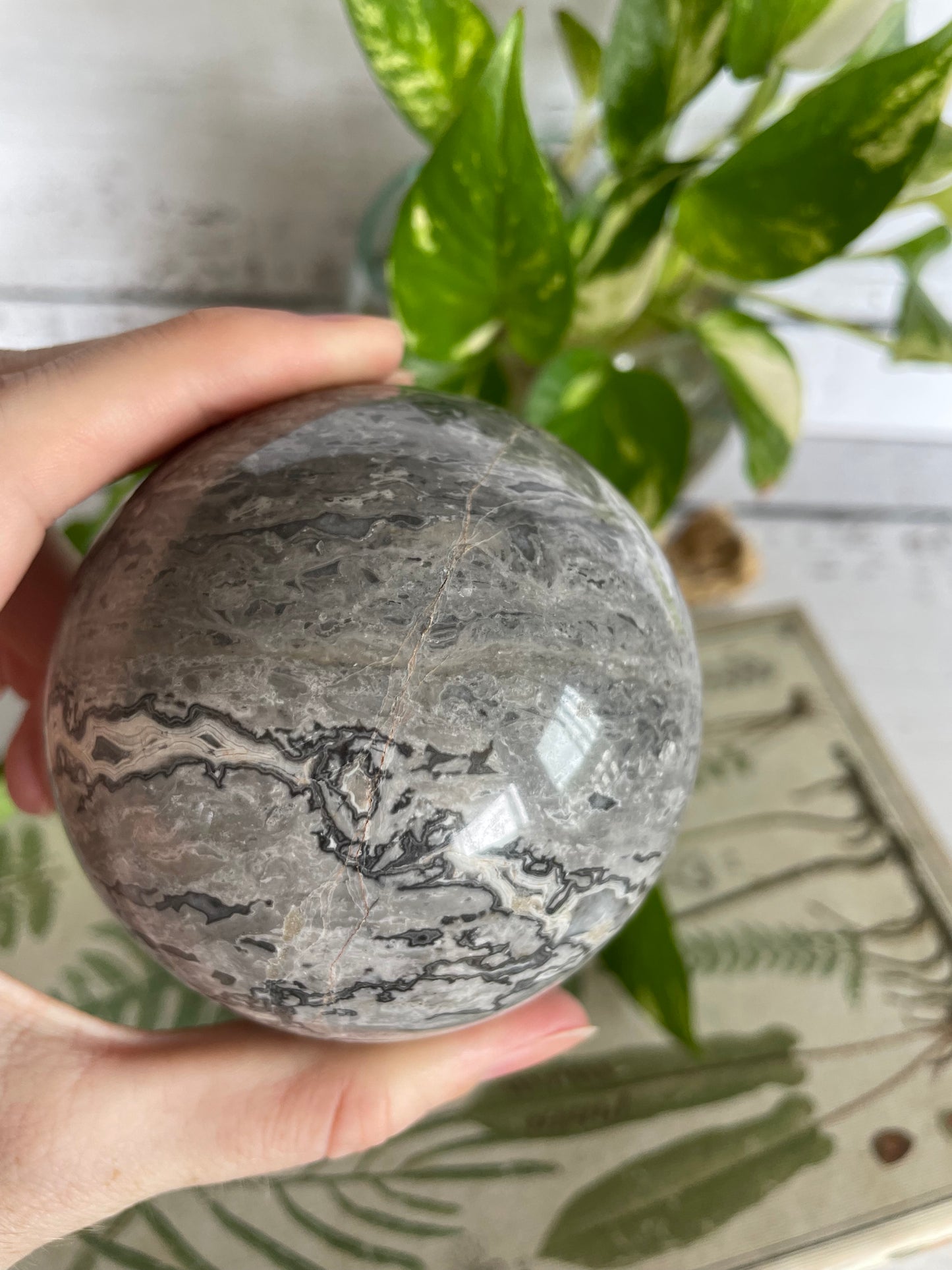 Picasso Jasper Sphere Includes Wooden Holder