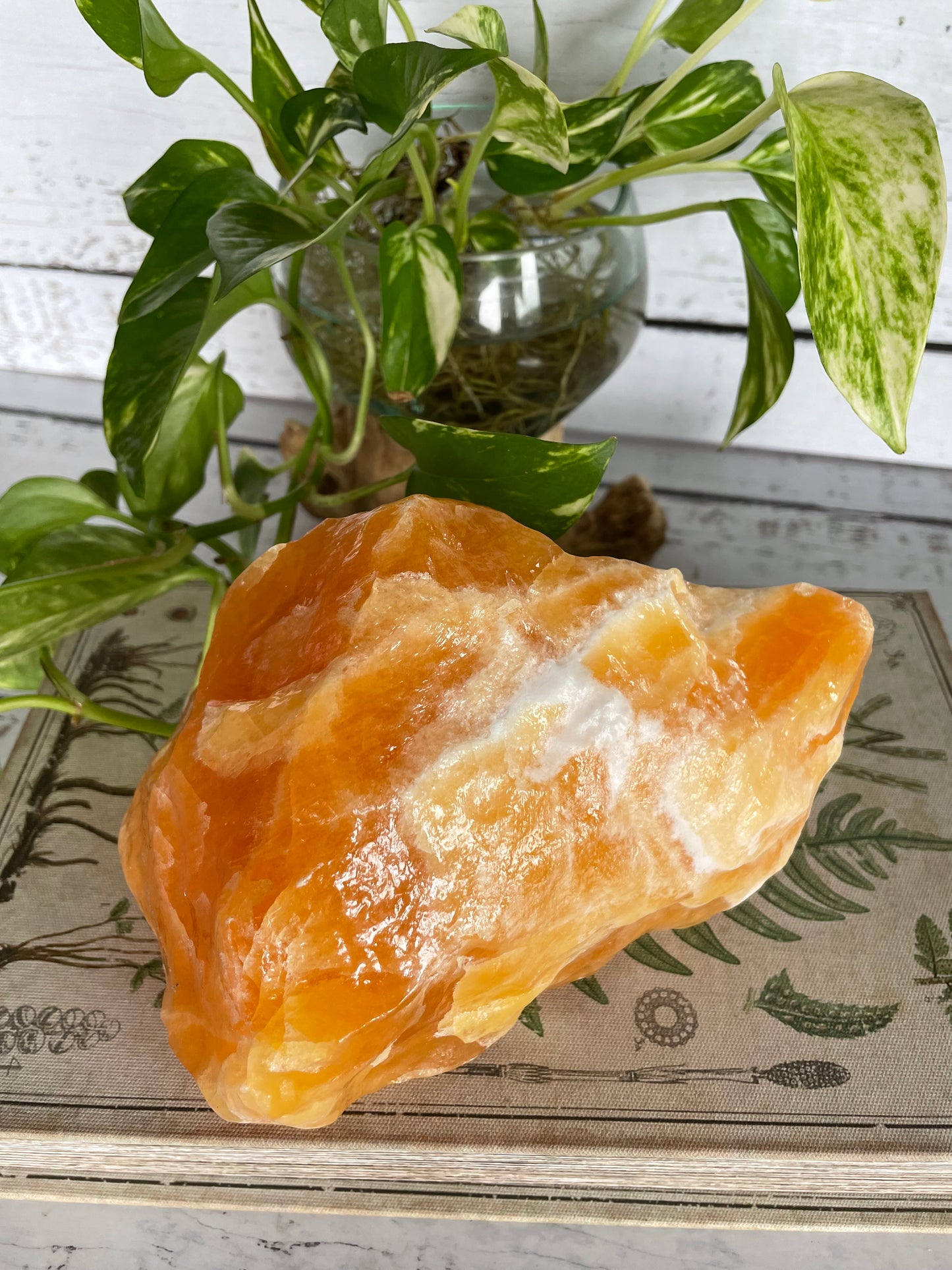 Orange Calcite ~ 1.9kgs