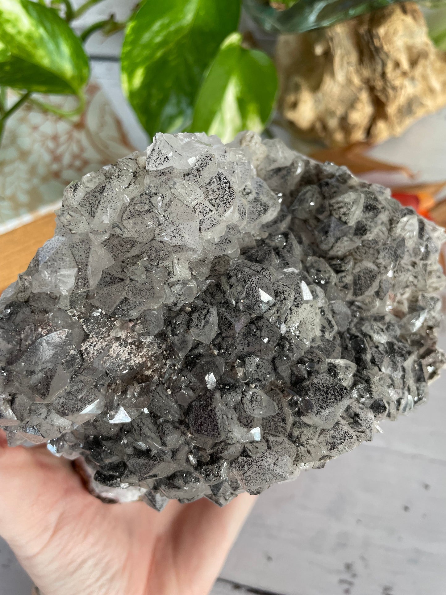 Black Amethyst Cluster
