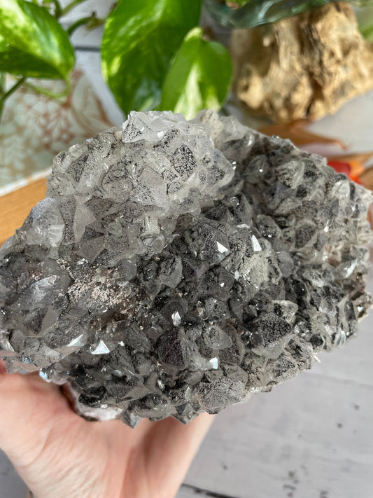 Black Amethyst Cluster