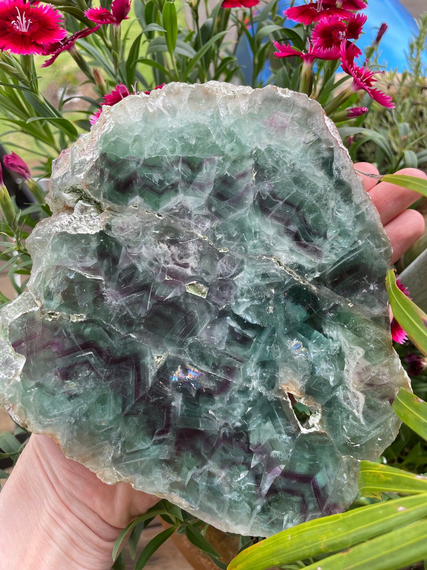 Rainbow Fluorite Slab