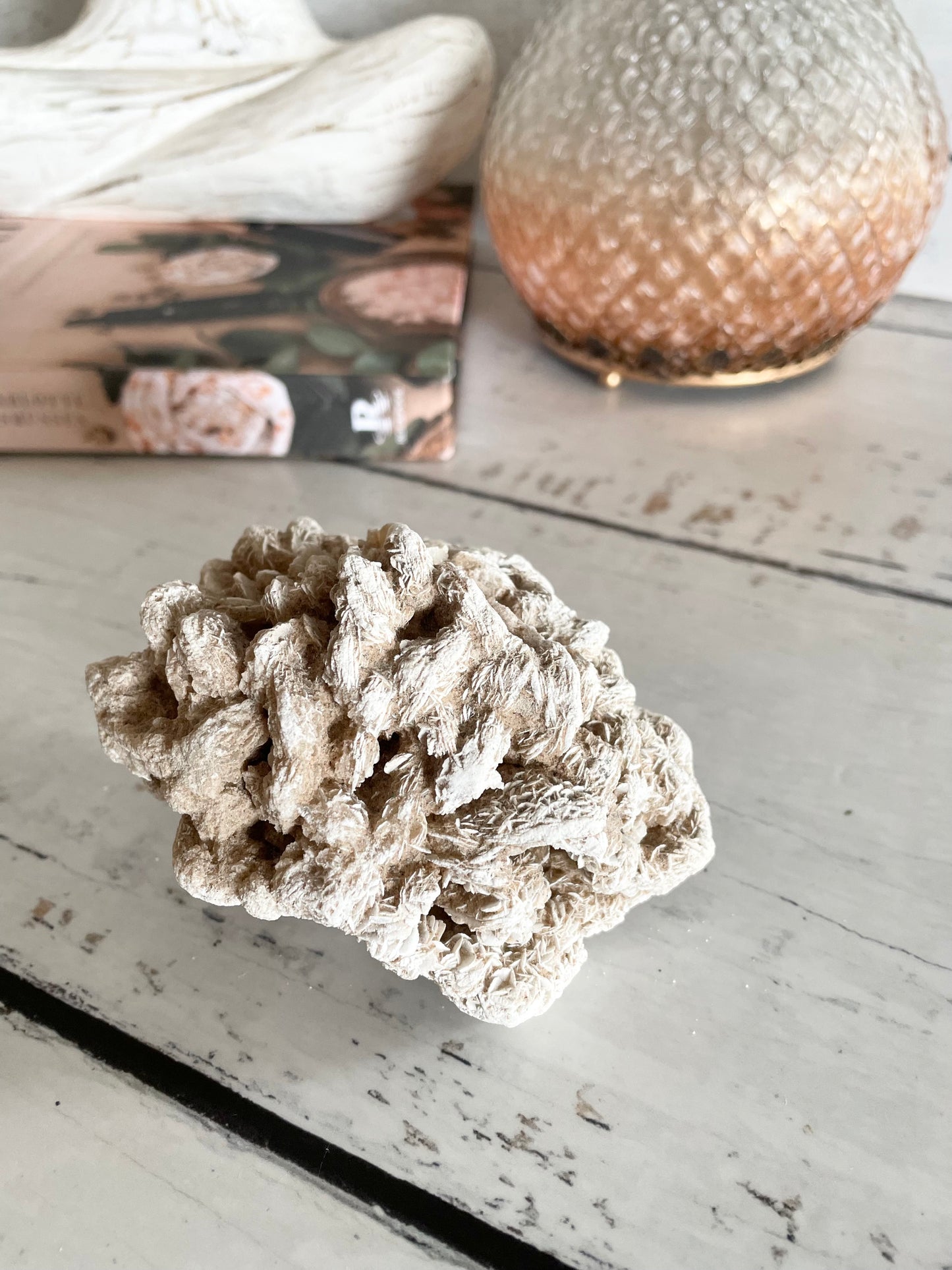 Desert Rose