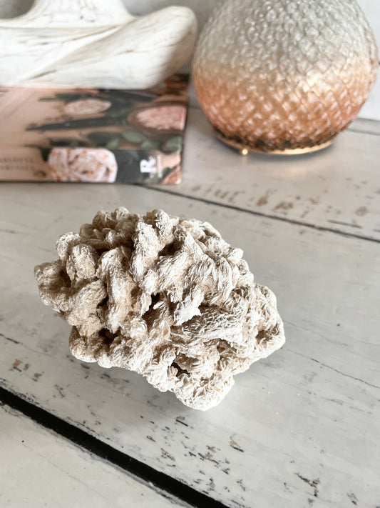Desert Rose