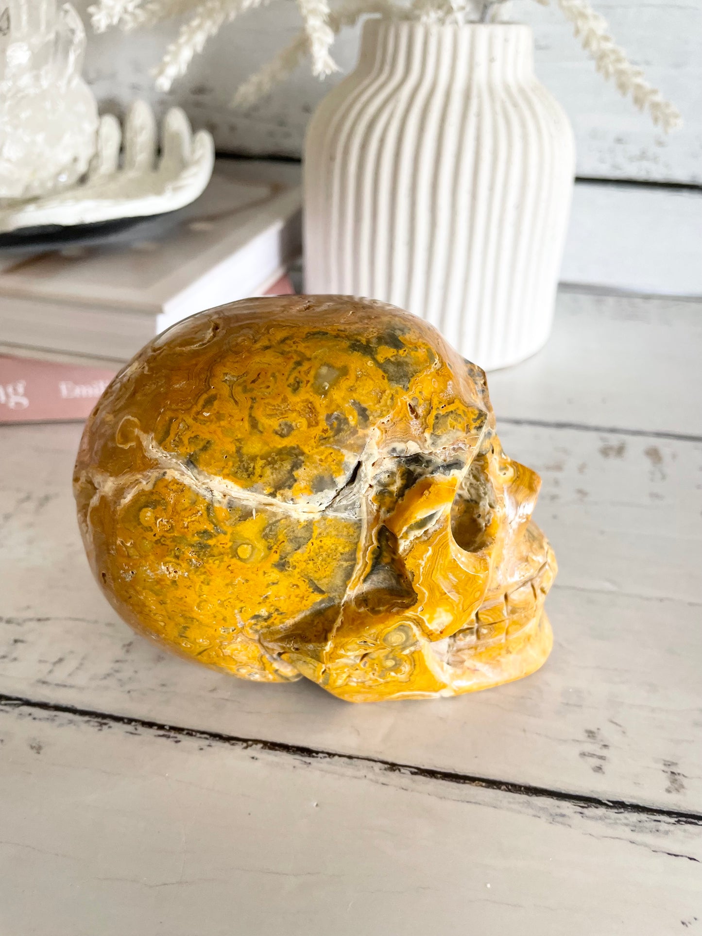Crazy Lace Agate Skull ~ 1kgs
