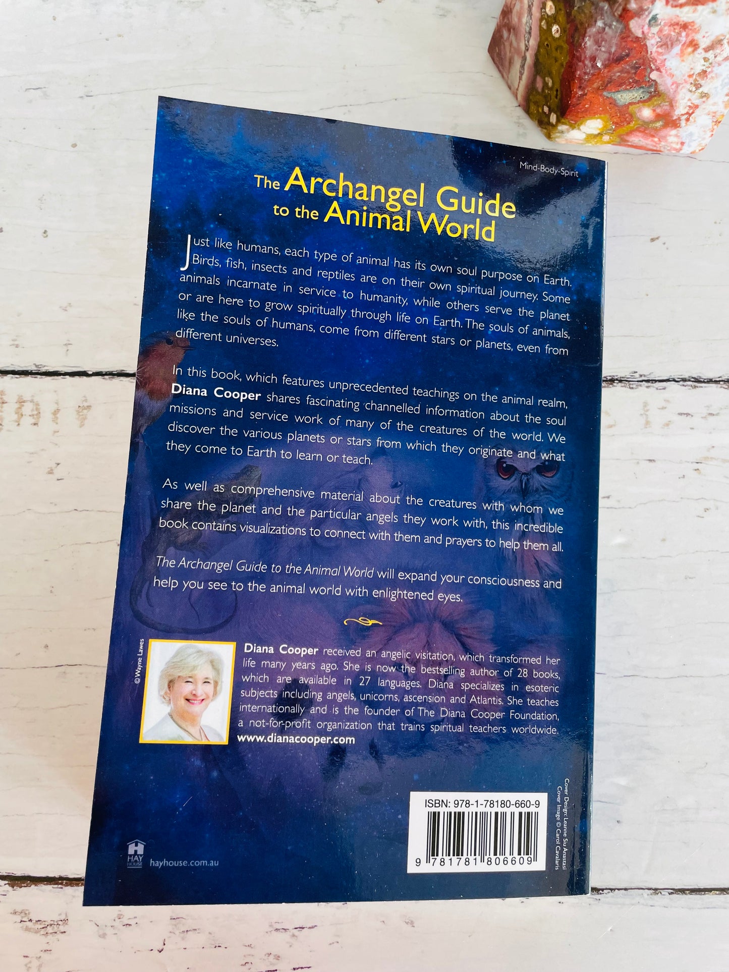 The Archangel Guide to the Animal World