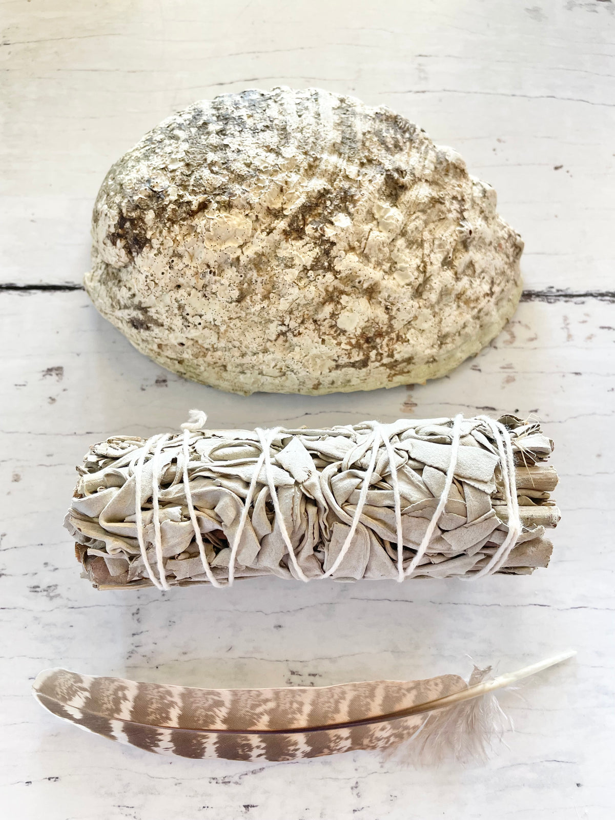 Abalone Shell Sacred White Sage Smudge kit ~ Set of 3