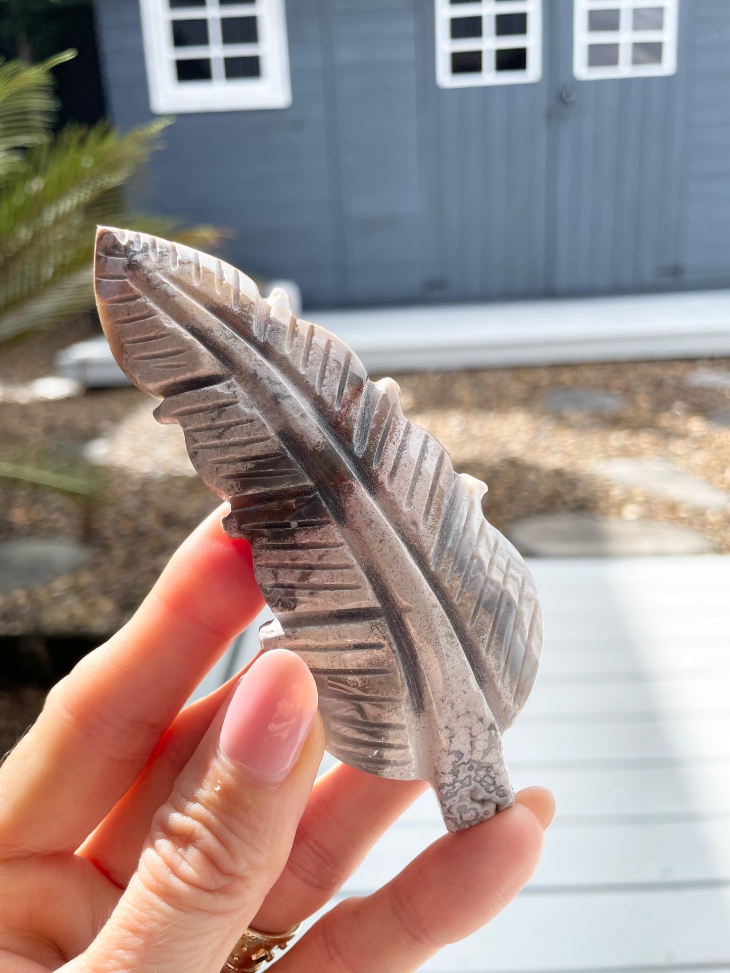 Mexican Agate Feather