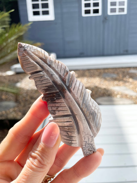 Mexican Agate Feather