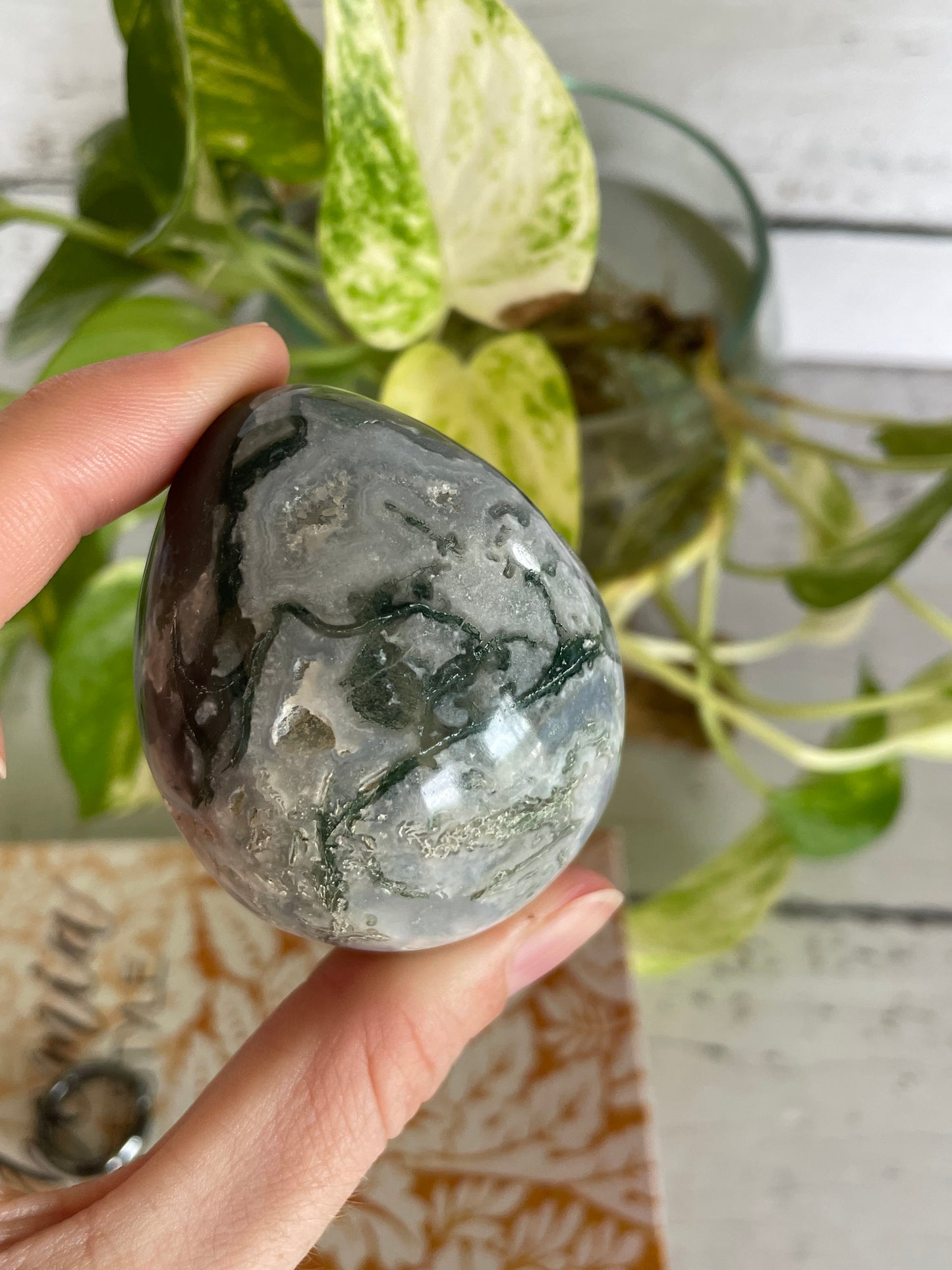 Tree Agate Egg Includes Hematite Ring