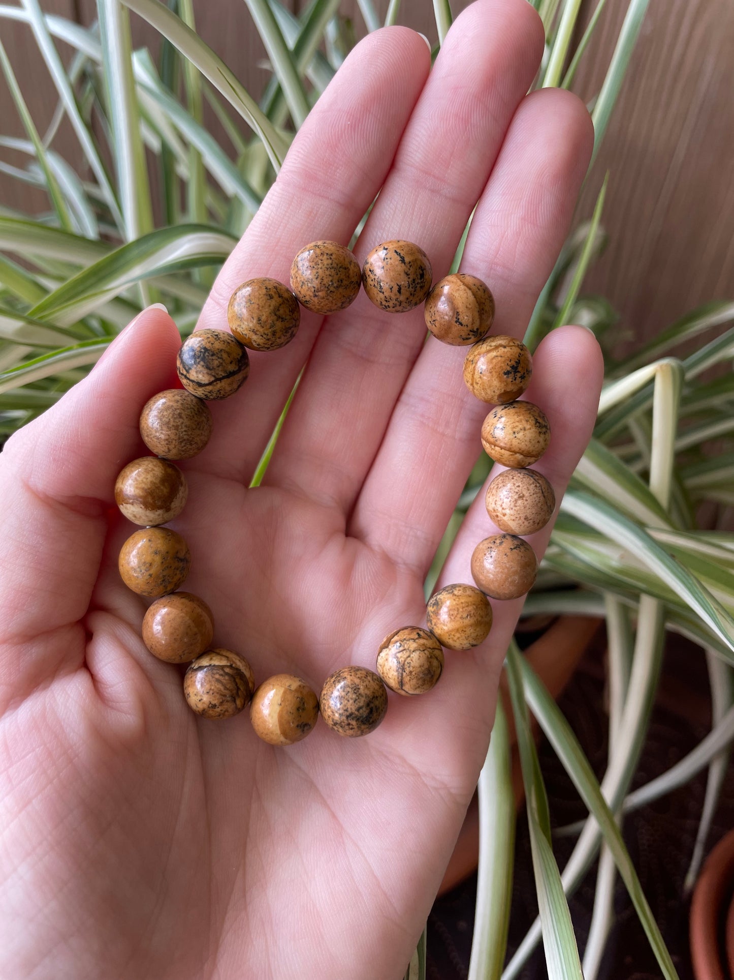 Picture Jasper CONFIDENCE Healing Bracelet ©️