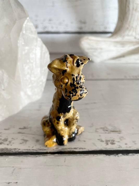 Picture Jasper Giraffe ~ 13