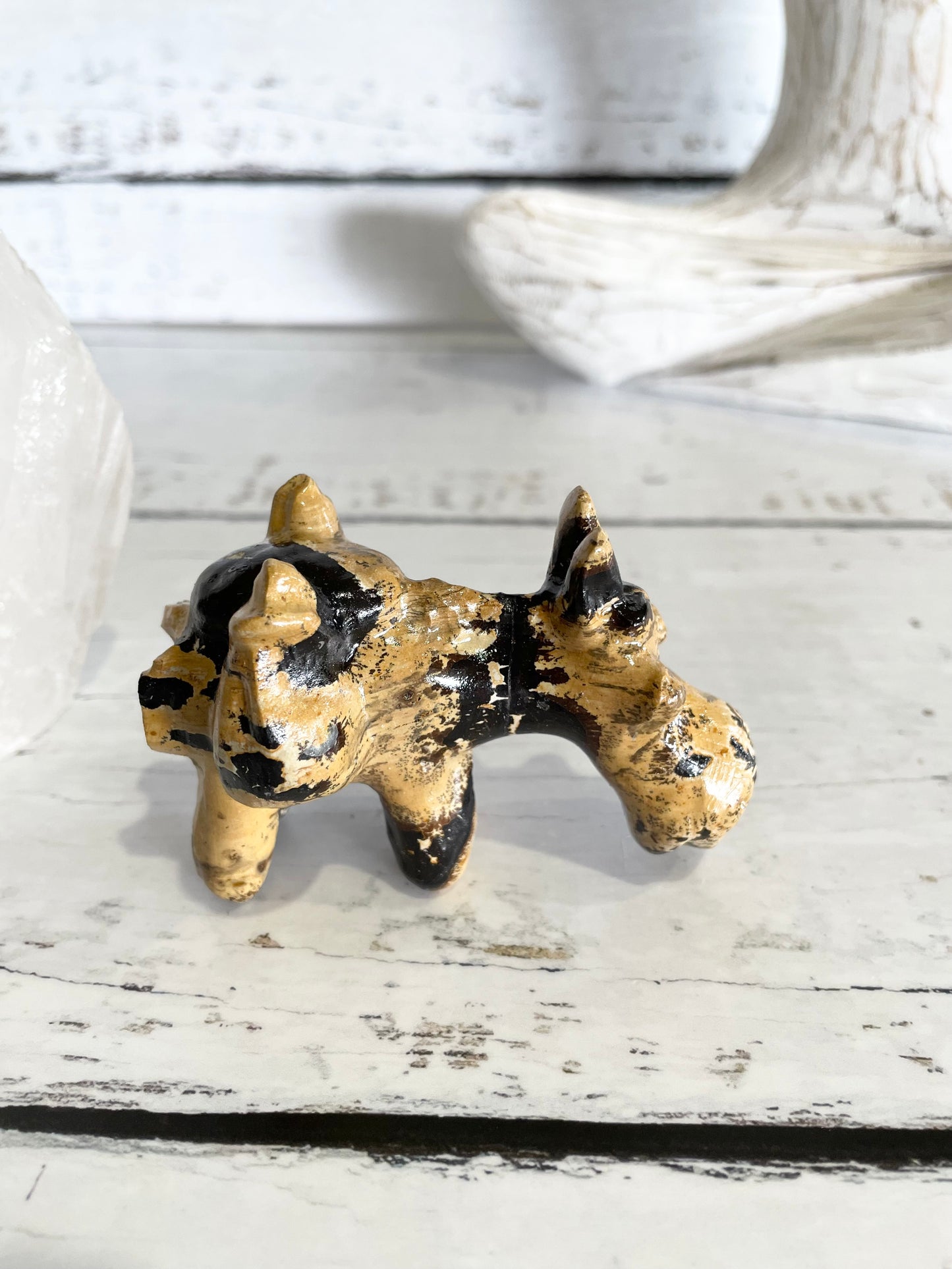 Picture Jasper Donkey ~ 4