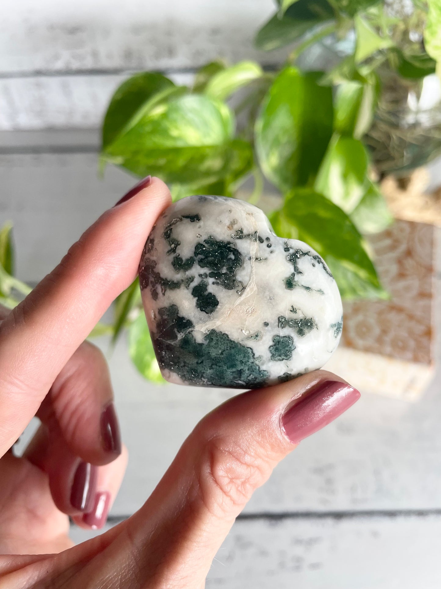 Tree Agate Heart