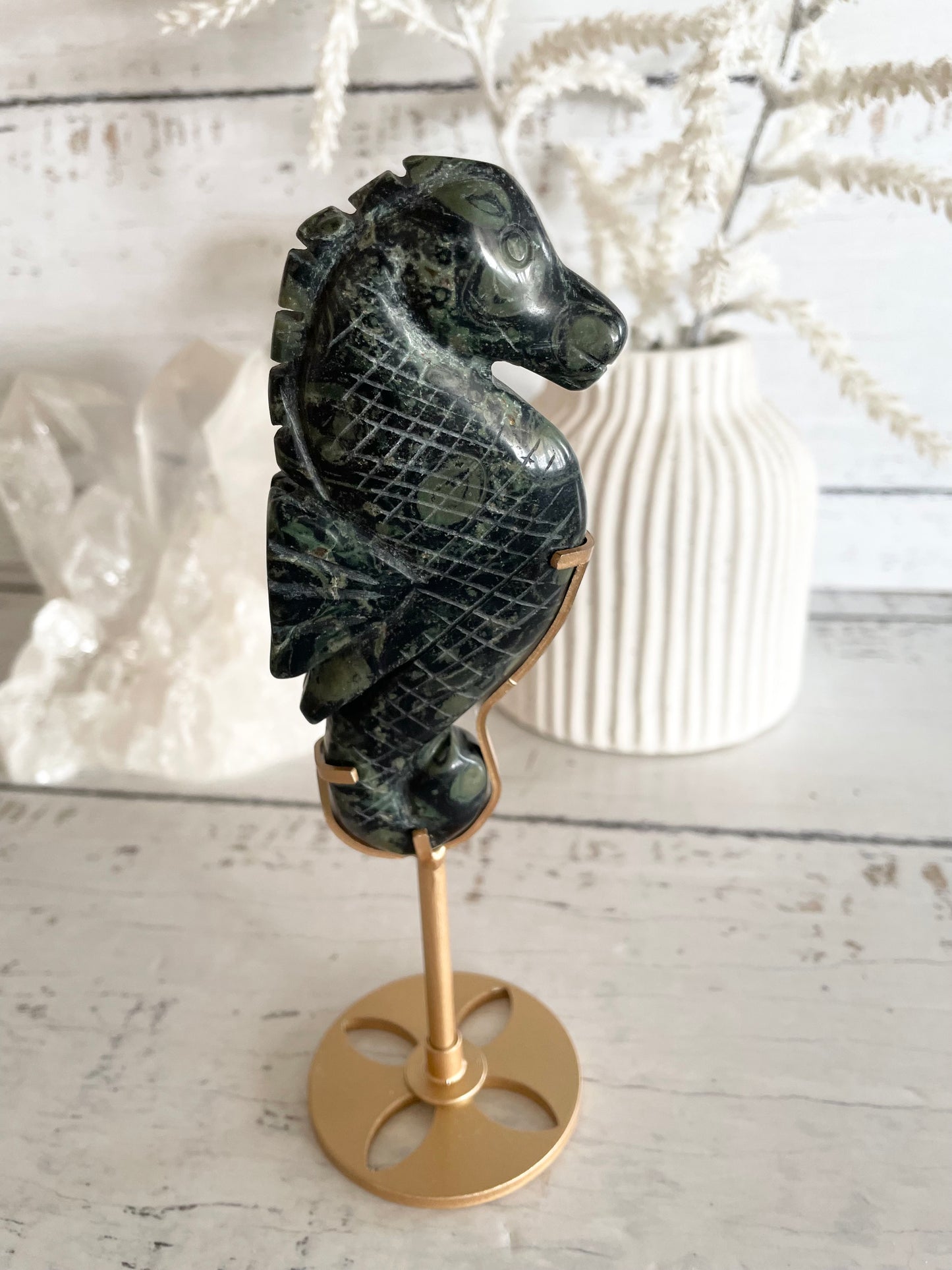 Seahorse ~ Kambaba Jasper