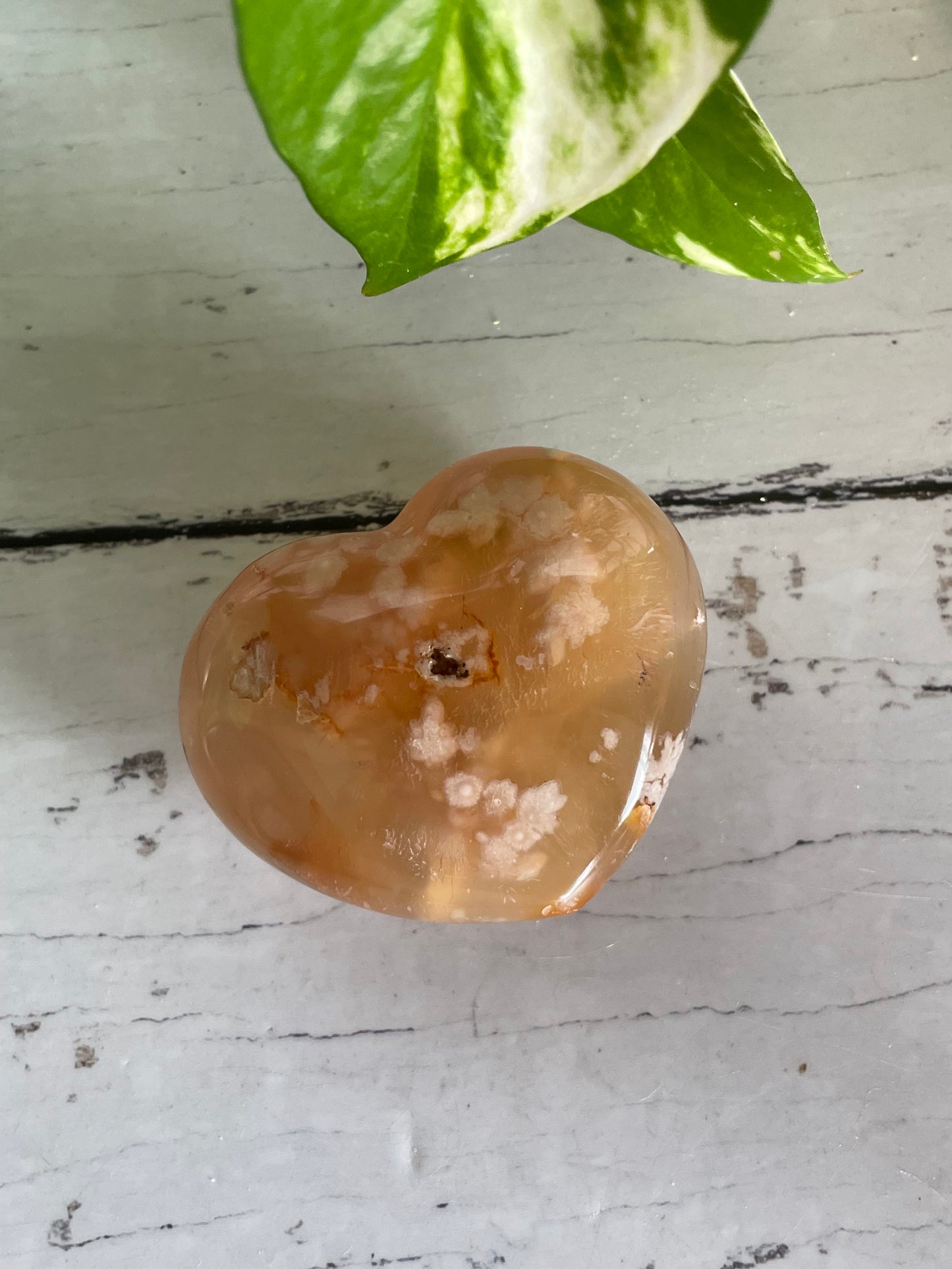 Flower Agate Heart