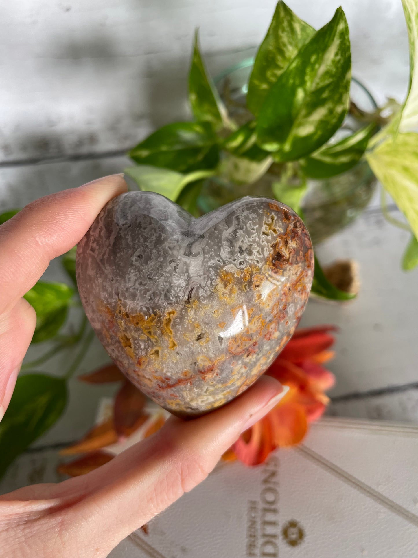 Crazy Lace Agate Heart