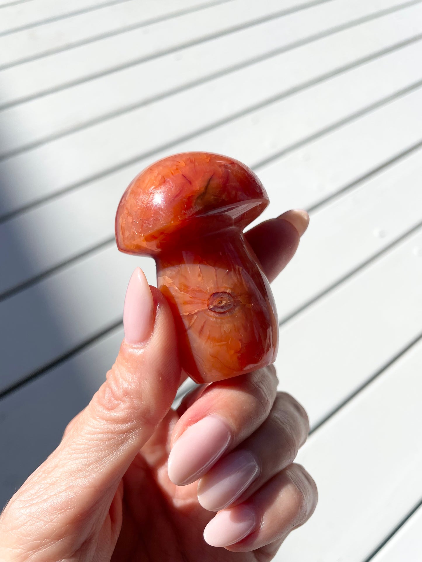 Carnelian Mushroom