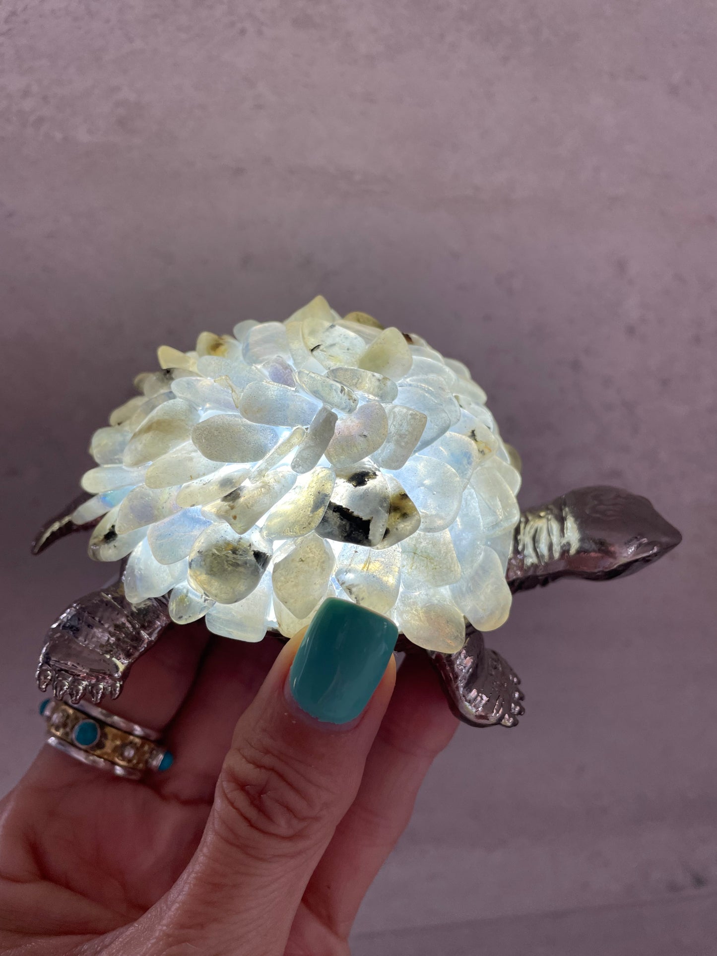 Tortoise Led Lamp ~ Labradorite