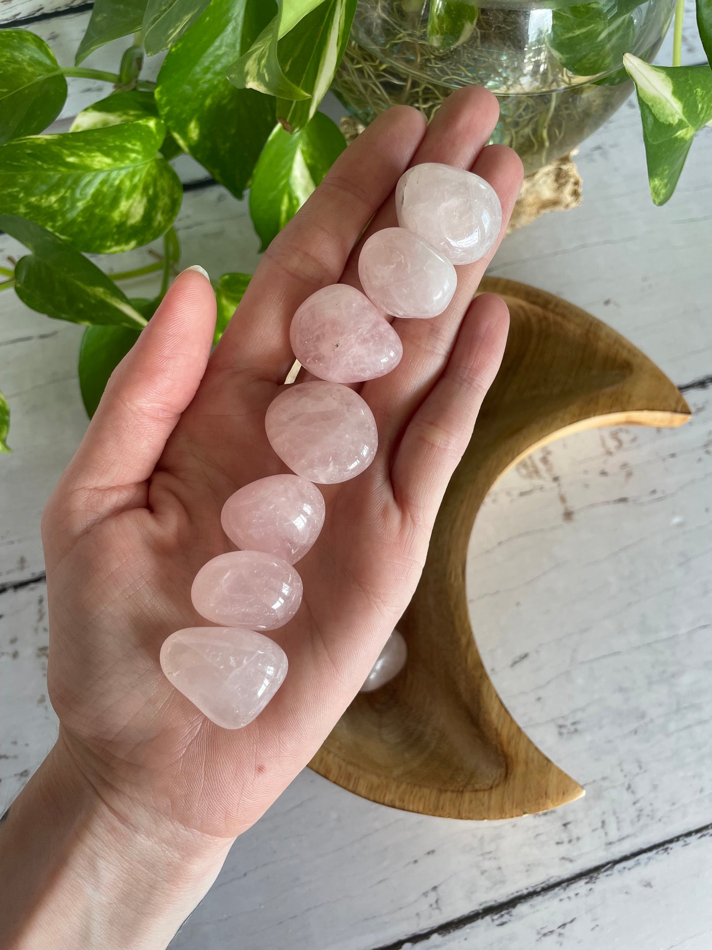 Rose Quartz Tumble Stones