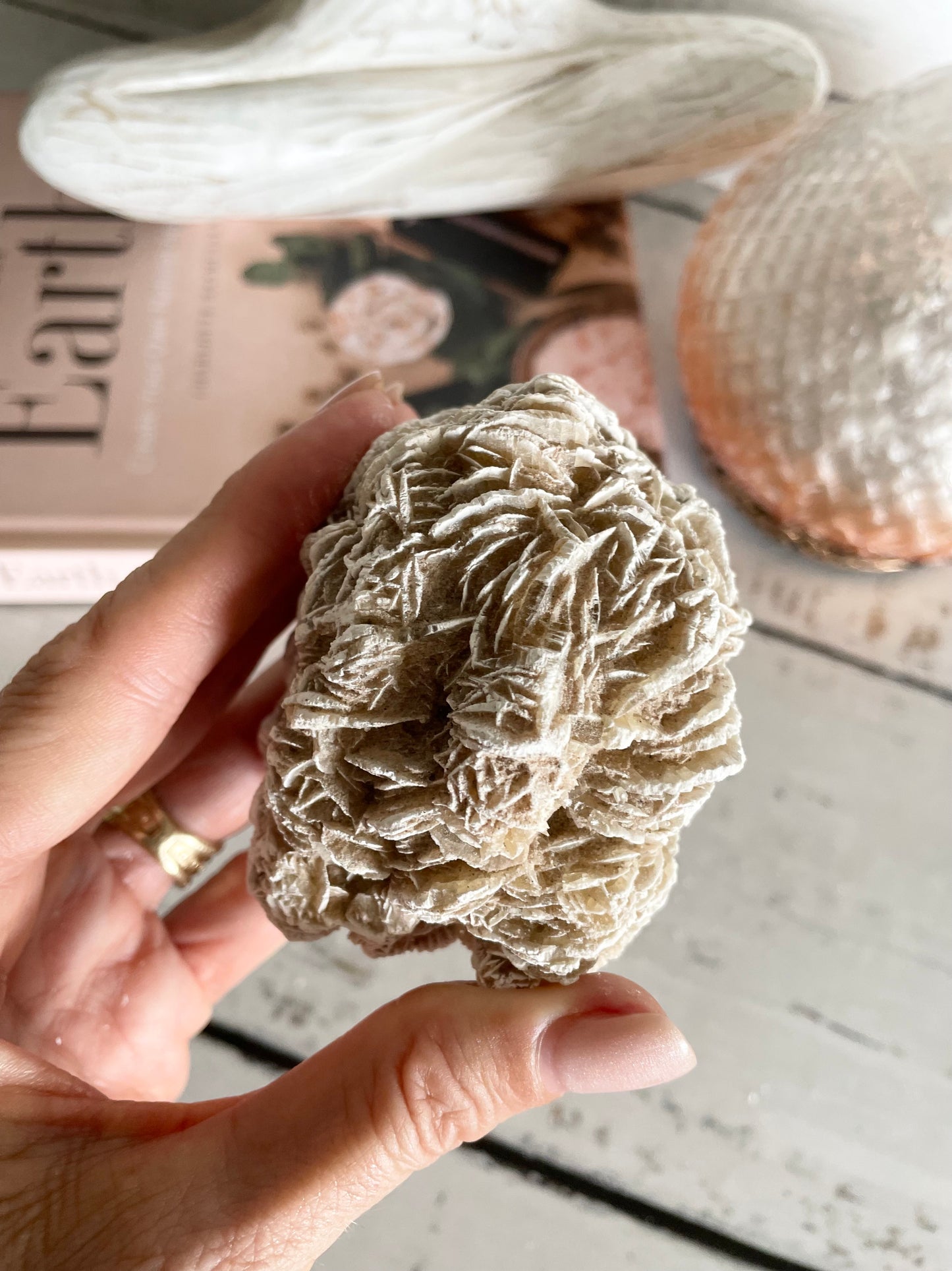 Desert Rose