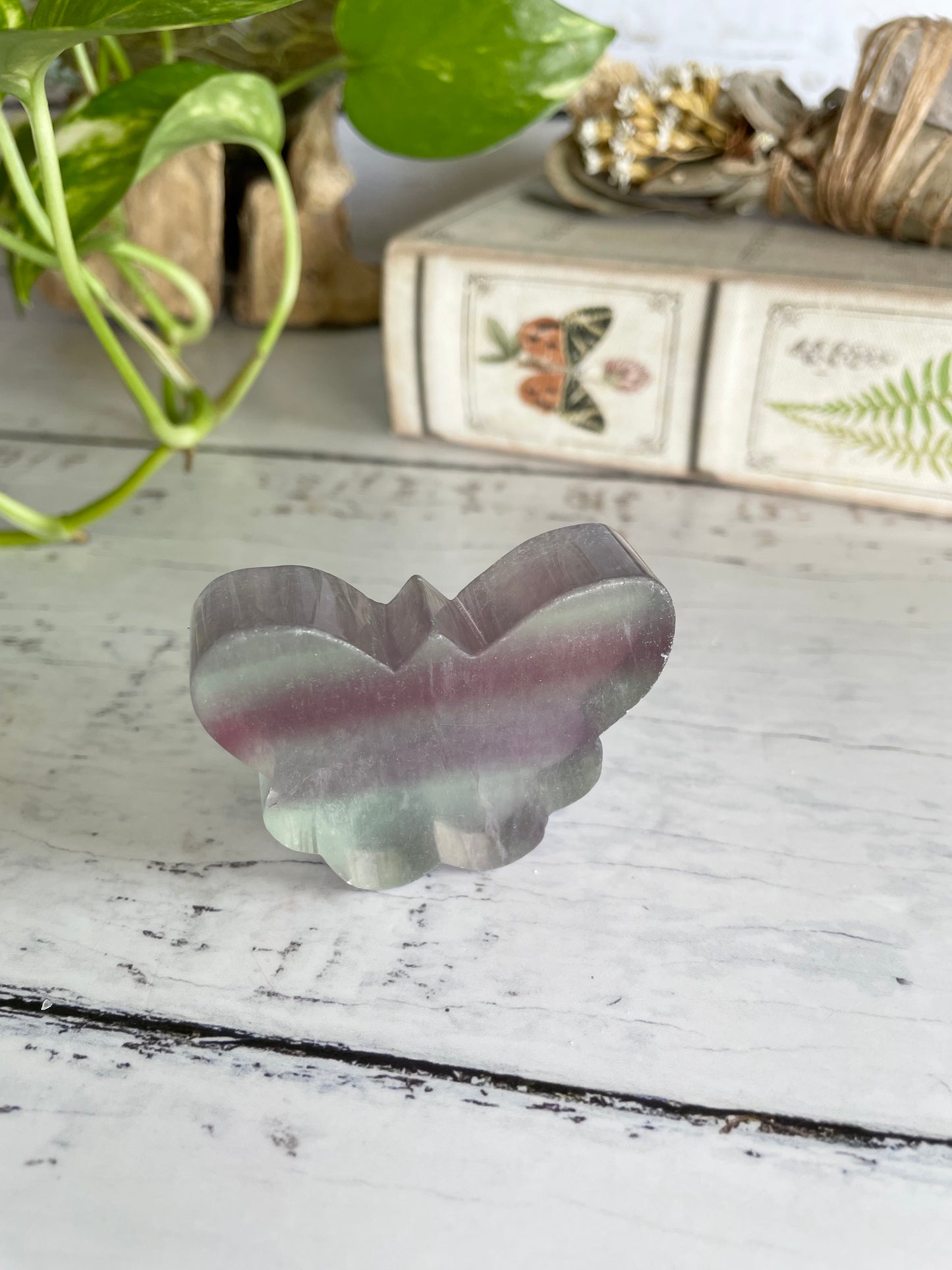 Butterfly ~ Rainbow Fluorite