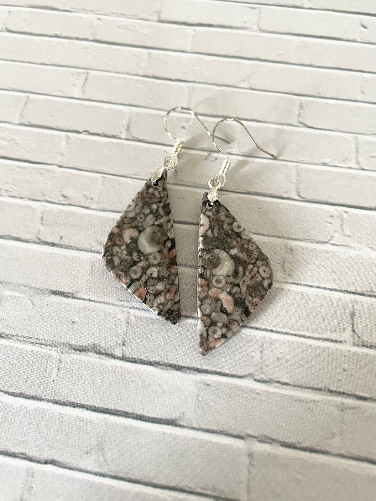Crinoid Fossil dangles