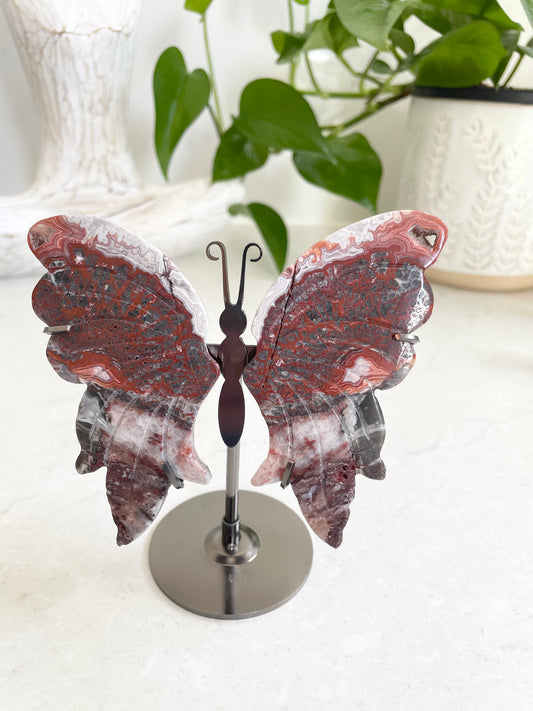 Butterfly ~ Mexican crazy lace agate