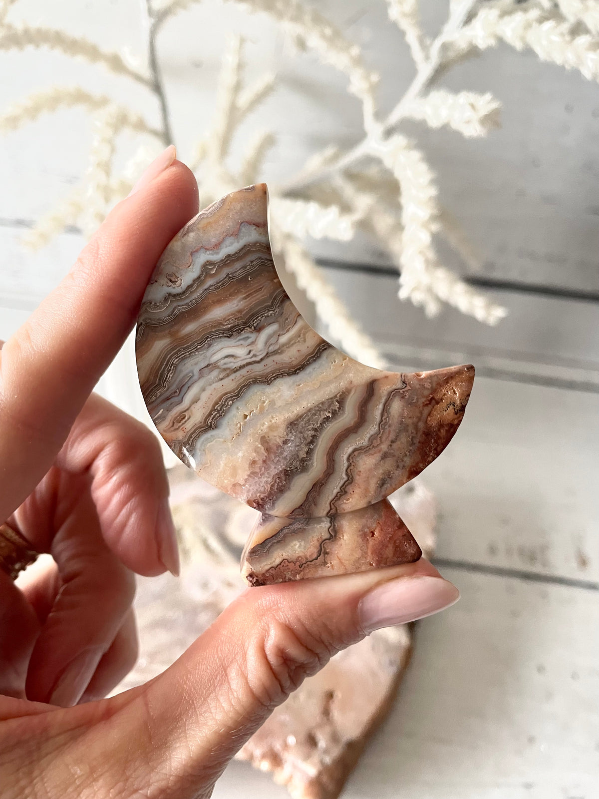 Mexican Pink Crazy Lace Agate Moon