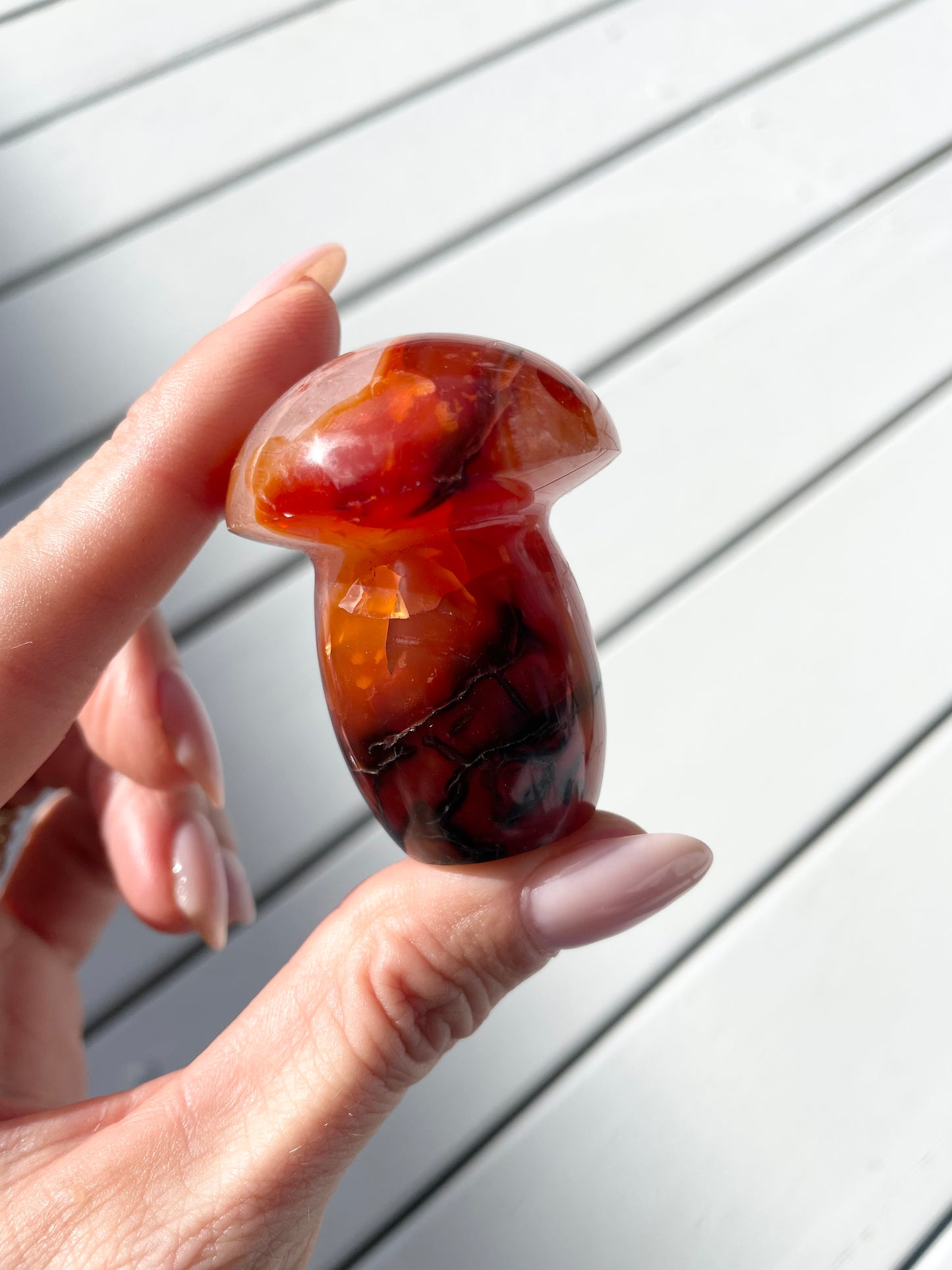 Carnelian Mushroom