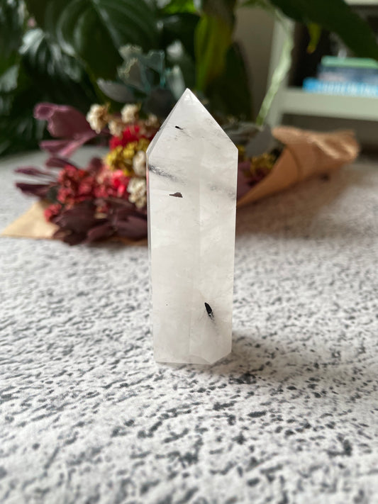 Tourmaline In Quartz Generator