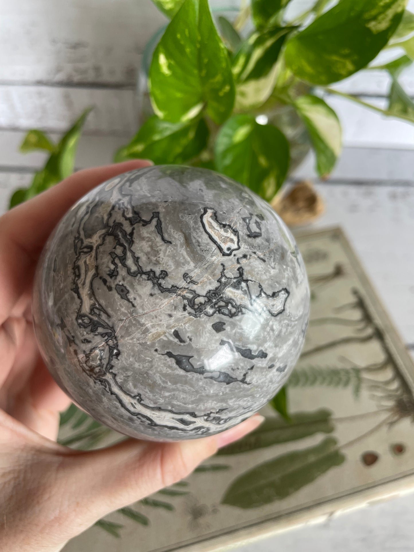 Picasso Jasper Sphere Includes Wooden Holder