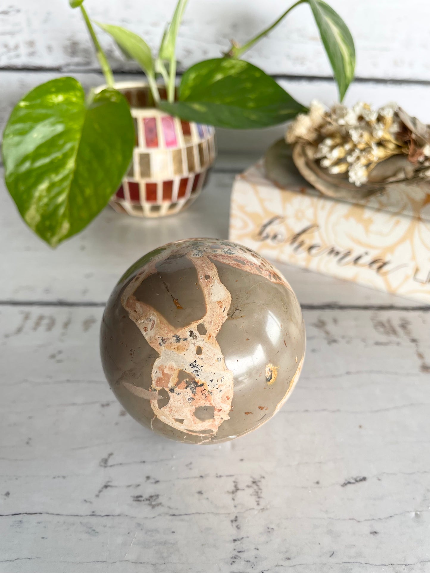 Leopard Skin Jasper Sphere Includes Wooden Holder