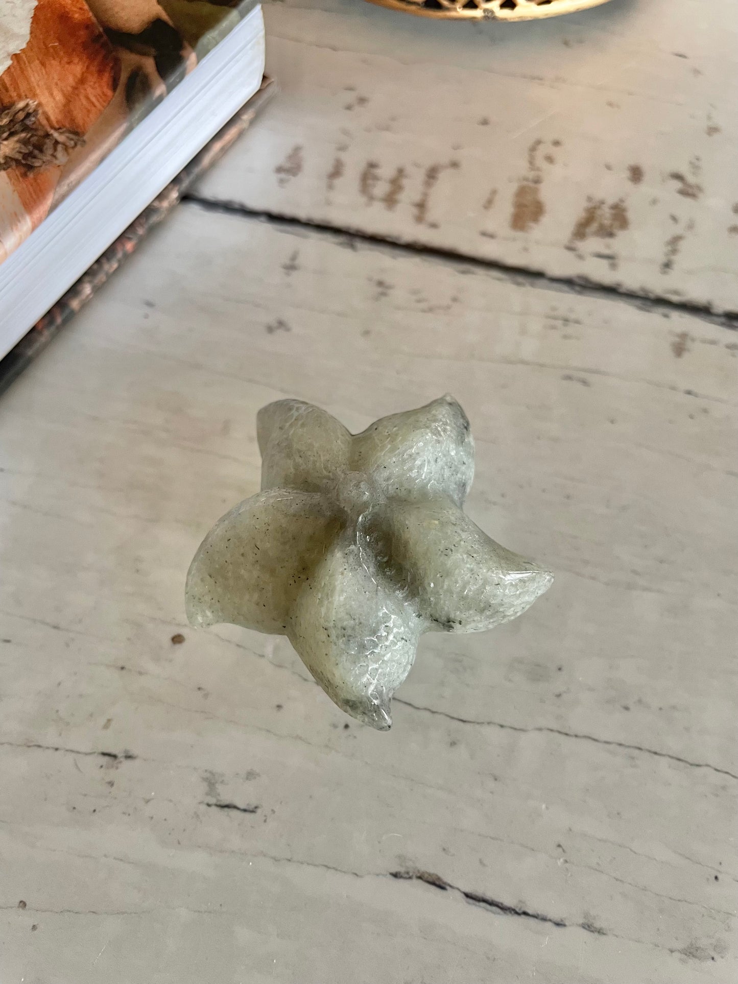 Sea Star ~ Labradorite