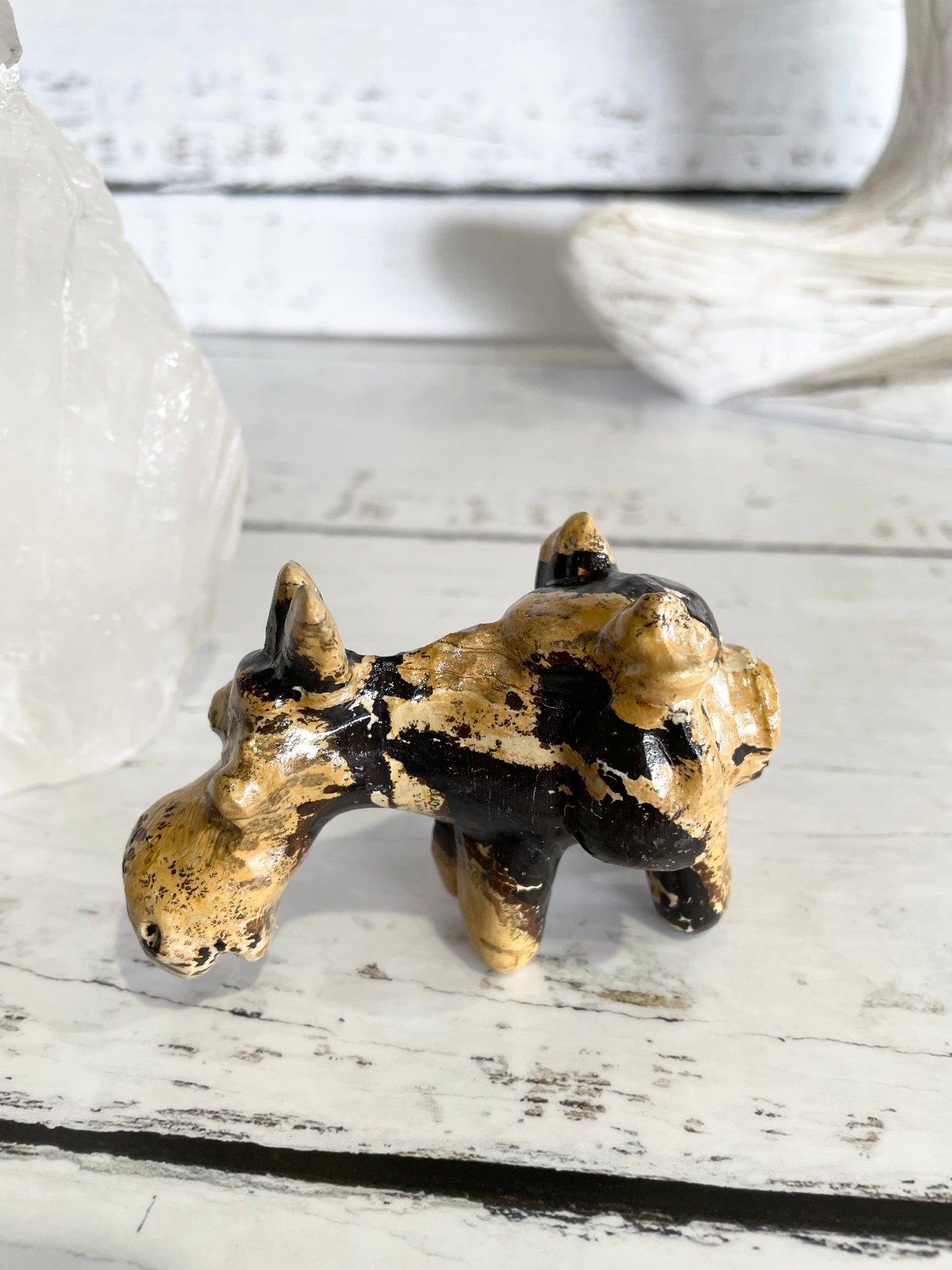 Picture Jasper Donkey ~ 4
